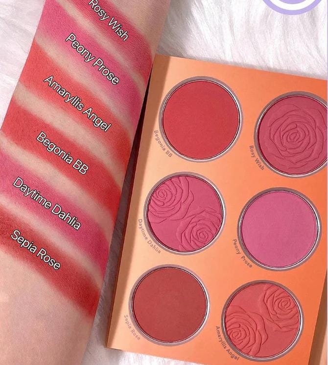 SHEGLAM Floral Flush Blush Palette 6 shades Begonia BB Rosy Wish Daytime Dahlia Peony Prose Sepia Rose Amaryllis Angel with arm swatches