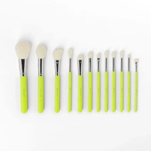 BH Cosmetics Color Festival 12-Piece Makeup Brush Set (With Angled Brush Holder)