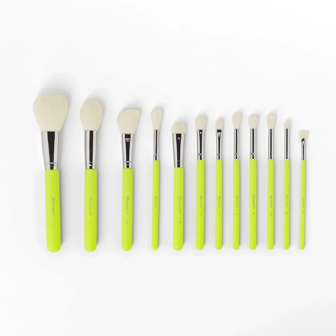 BH Cosmetics Color Festival 12-Piece Makeup Brush Set (With Angled Brush Holder)