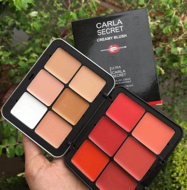 Carla Secret Blush & Concealer Palette - Image 2