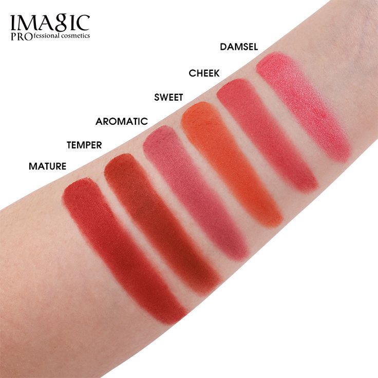 IMAGIC 6 Colour Touch Blush-on Palette - Image 3